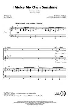 I Make My Own Sunshine von Alyssa Bonagura 