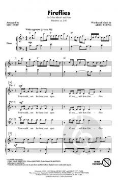 Fireflies von Adam Young 