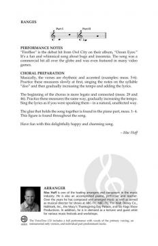 Fireflies von Owl City (Download) 