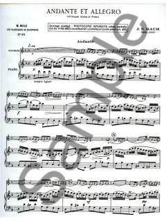 Sonate Nr. 1 (Violon): Andante Allegro von Johann Sebastian Bach 