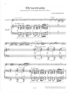 Orientale von Joseph Edouard Barat 