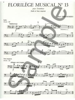 Florilege Musical Nr. 13 von Marc Berthomieu 