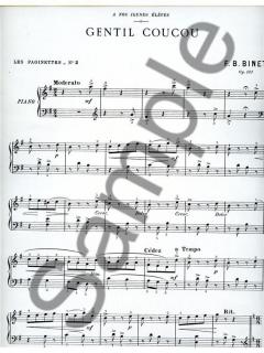 Paginettes Nr. 2: Gentil Coucou von Frederic Binet 