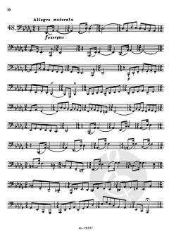 70 Studies Vol. 2 von Vladislav Blazhevich 