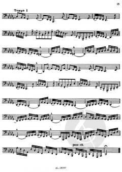 70 Studies Vol. 2 von Vladislav Blazhevich 