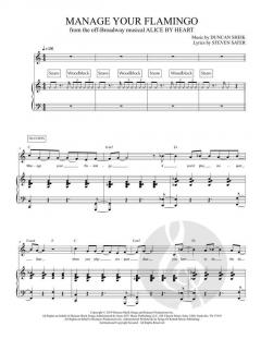 Manage Your Flamingo von Steven Sater 