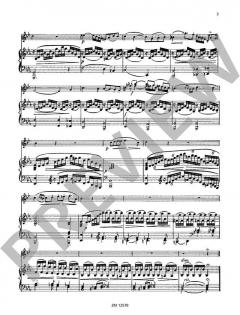 Thema und Variationen op. 13 von Franz Strauss für Horn und Klavier