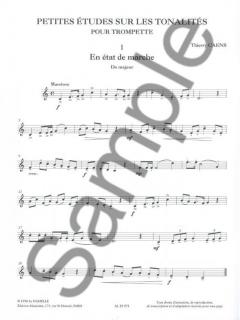 Petites Etudes Sur Les Tonalites von Thierry Caens 