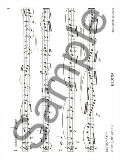 52 Lectures Rythmiques von Yves Callier 