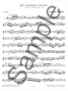 20 Grandes Etudes Vol. 1 von Ferdinand Capelle 