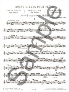 12 Etudes von Jacques Castérède 