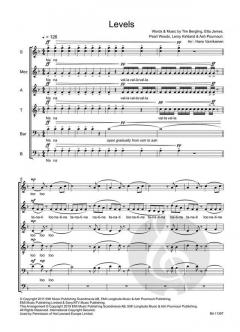 Levels von Tim Bergling 