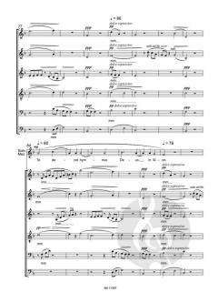 Levels von Tim Bergling 