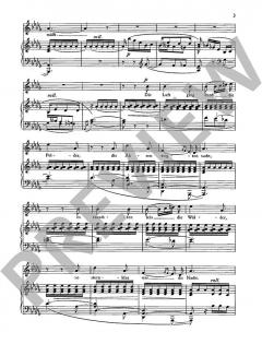 Mondnacht & Frühlingsnacht op. 39/5 & op. 39/12 von Robert Schumann (Download) 