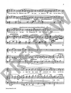 Morgenlich leuchtend im rosigen Schein von Richard Wagner (Download) 