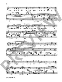 Morgenlich leuchtend im rosigen Schein von Richard Wagner (Download) 