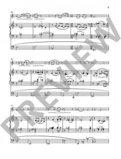 Our Lady's Minstrel von Naji Hakim (Download) 