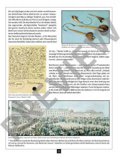 Ein Streifzug durch Leben und Werk von Ludwig van Beethoven (Download) 