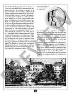 Ein Streifzug durch Leben und Werk von Robert Schumann (Download) 