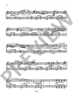 Studies von Karel Janecek (Download) 