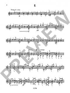 5 Etüden von Stepan Rak (Download) 