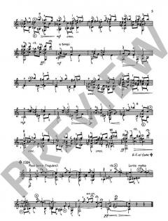 5 Etüden von Stepan Rak (Download) 