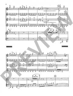 Partita Semplice von Zdenek Lukás (Download) 