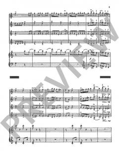 Partita Semplice von Zdenek Lukás (Download) 