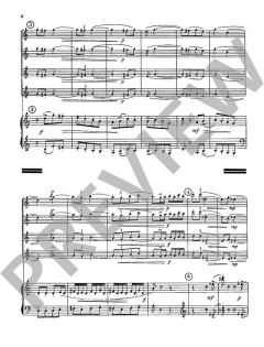 Partita Semplice von Zdenek Lukás (Download) 