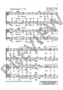 Der Mensch lebt und bestehet nur eine kleine Zeit von Max Reger (Download) 
