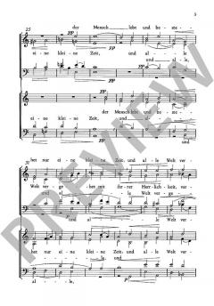 Der Mensch lebt und bestehet nur eine kleine Zeit von Max Reger (Download) 