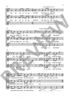 Schwan, kleb an von Joerg-Ulrich Knebel (Download) 