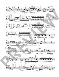 Evening Dance von Karel van Steenhoven (Download) 