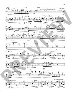 Evening Dance von Karel van Steenhoven (Download) 