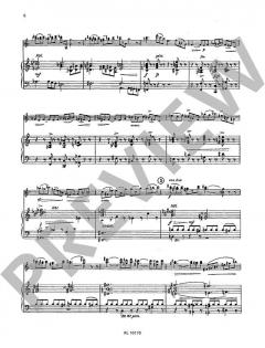 Konzert d-Moll von Hans Ahlgrimm (Download) 