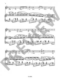 Drei Lieder op. 21 Nr. 3: Der einsame Pfeifer von Paul Juon (Download) 