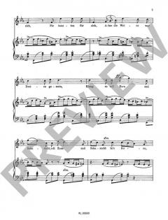 Drei Lieder op. 21 Nr. 3: Der einsame Pfeifer von Paul Juon (Download) 