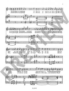 Und Susanne kommt nicht – Nur zu flüchtig – Wohin flohen von Wolfgang Amadeus Mozart (Download) 