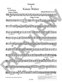 Strauss für die Jugend Band 3 (Download) 