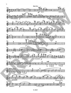 Nonett op. 30 von Graham Waterhouse (Download) 