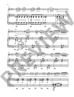 Fantasia von Naji Hakim 