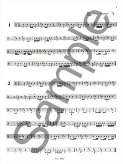 27 Etudes Faciles (Joël Chauviere) 