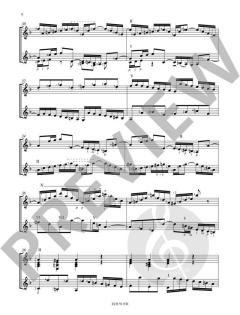 Doppelkonzert D-Dur BWV 1043 von Johann Sebastian Bach 