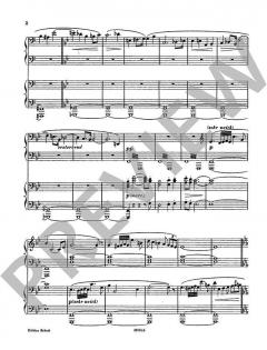 Siegfrieds Rheinfahrt von Richard Wagner 