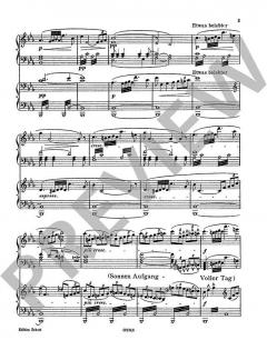 Siegfrieds Rheinfahrt von Richard Wagner 