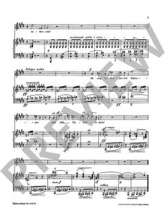 Vergiftet sind meine Lieder von Franz Liszt 