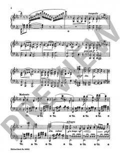 Der Wanderer op. 90/7 von Gustav Lange 