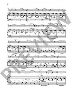 Joy of Music - Discoveries from the Schott Archives 