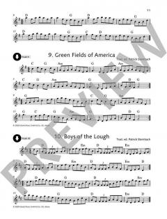 Irish Folk Tunes for Flute Vol. 2 