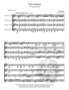 Two Guitars von Terry Kenny 